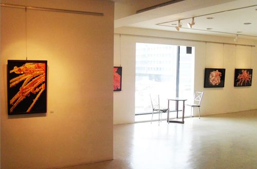 박태식 개인전 - 2009 세계평화를 위한 UN본부 기념전 우수작가